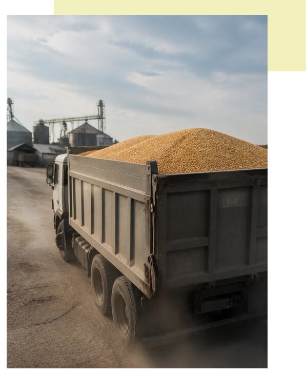 Перевозка сельхозпродукции навалом в Снежинск по цене от 3118 р. | Агросервис-Снж